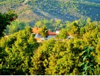 Kütahya Domaniç Sarıot Köyünün İçinde 1.734 M2 Bahçe Ful Doğa Ve Kısmen Köy Manzaralı Malikaneye 100 Metre Mesafede Resmi Tek Tapulu Köyün En Güzel Lokasyonundadır