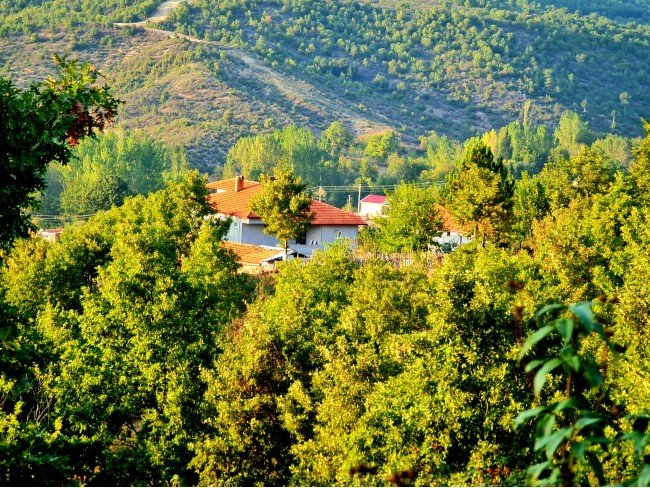 Kütahya Domaniç Sarıot Köyünün İçinde 1.734 M2 Bahçe Ful Doğa Ve Kısmen Köy Manzaralı Malikaneye 100 Metre Mesafede Resmi Tek Tapulu Köyün En Güzel Lokasyonundadır