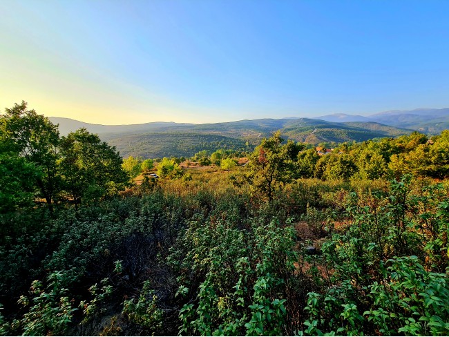 Kütahya Domaniç Sarıot Köyünün İçinde 1.734 M2 Bahçe Ful Doğa Ve Kısmen Köy Manzaralı Malikaneye 100 Metre Mesafede Resmi Tek Tapulu Köyün En Güzel Lokasyonundadır
