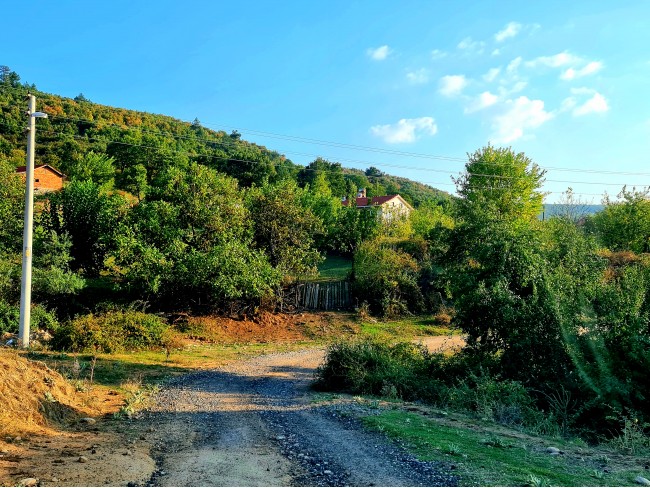 Kütahya Domaniç Sarıot Köyünün İçinde 1.734 M2 Bahçe Ful Doğa Ve Kısmen Köy Manzaralı Malikaneye 100 Metre Mesafede Resmi Tek Tapulu Köyün En Güzel Lokasyonundadır