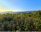 Kütahya Domaniç Sarıot Köyünün İçinde 1.734 M2 Bahçe Ful Doğa Ve Kısmen Köy Manzaralı Malikaneye 100 Metre Mesafede Resmi Tek Tapulu Köyün En Güzel Lokasyonundadır