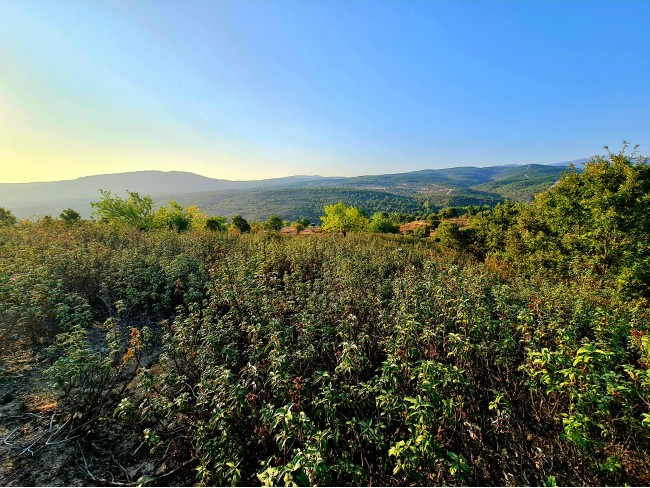 Kütahya Domaniç Sarıot Köyünün İçinde 1.734 M2 Bahçe Ful Doğa Ve Kısmen Köy Manzaralı Malikaneye 100 Metre Mesafede Resmi Tek Tapulu Köyün En Güzel Lokasyonundadır