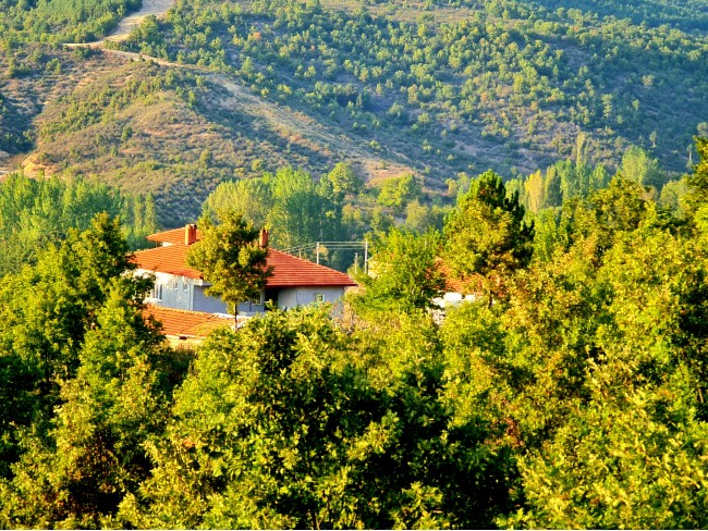 Kütahya Domaniç Sarıot Köyünün İçinde 1.734 M2 Bahçe Ful Doğa Ve Kısmen Köy Manzaralı Malikaneye 100 Metre Mesafede Resmi Tek Tapulu Köyün En Güzel Lokasyonundadır