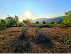 Kütahya Domaniç Sarıot Köyünün İçinde 1.734 M2 Bahçe Ful Doğa Ve Kısmen Köy Manzaralı Malikaneye 100 Metre Mesafede Resmi Tek Tapulu Köyün En Güzel Lokasyonundadır