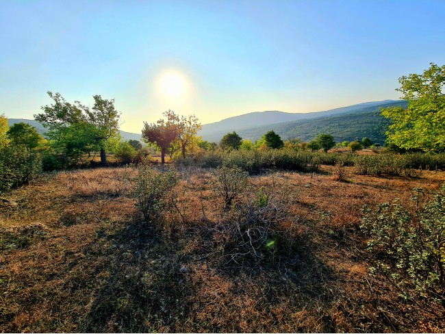 Kütahya Domaniç Sarıot Köyünün İçinde 1.734 M2 Bahçe Ful Doğa Ve Kısmen Köy Manzaralı Malikaneye 100 Metre Mesafede Resmi Tek Tapulu Köyün En Güzel Lokasyonundadır