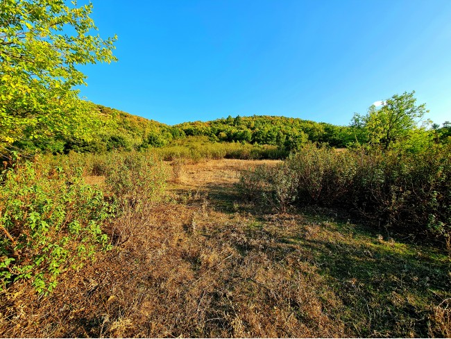 Kütahya Domaniç Sarıot Köyünün İçinde 1.734 M2 Bahçe Ful Doğa Ve Kısmen Köy Manzaralı Malikaneye 100 Metre Mesafede Resmi Tek Tapulu Köyün En Güzel Lokasyonundadır