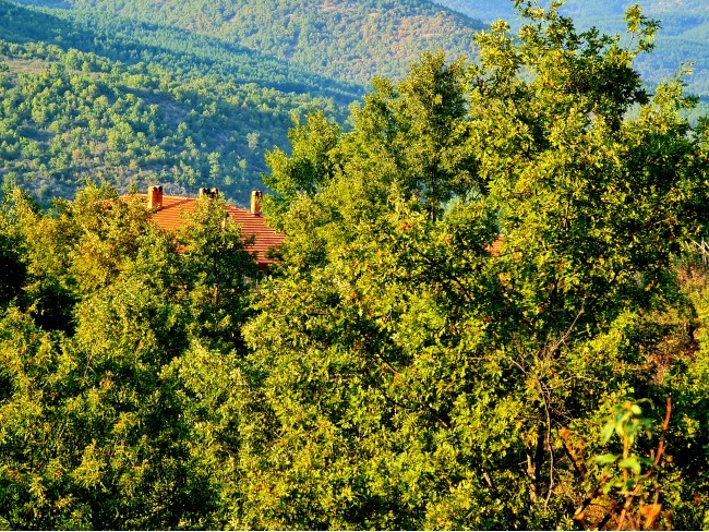 Kütahya Domaniç Sarıot Köyünün İçinde 1.734 M2 Bahçe Ful Doğa Ve Kısmen Köy Manzaralı Malikaneye 100 Metre Mesafede Resmi Tek Tapulu Köyün En Güzel Lokasyonundadır