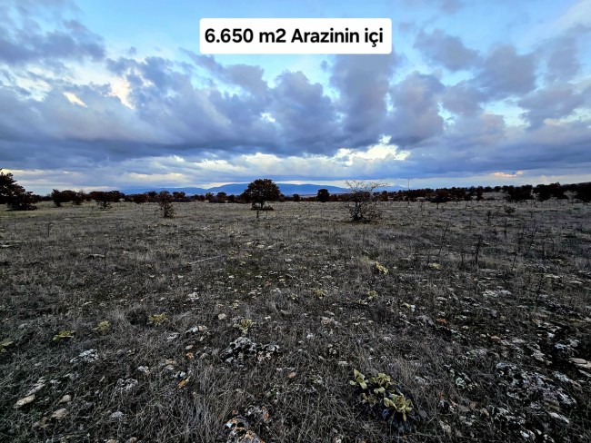 Uşak Karahallı Külköy'de Organize Sanayiye ve Köye Yakın, Köy ve Doğa Manzaralı 6.650 m2 Yatırımlık Kupon Bağ Bahçe. İlan Açıklamasını Okuyarak İletişime Geçiniz Lütfen.