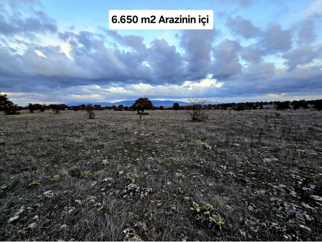Uşak Karahallı Külköy'de Organize Sanayiye ve Köye Yakın, Köy ve Doğa Manzaralı 6.650 m2 Yatırımlık Kupon Bağ Bahçe. İlan Açıklamasını Okuyarak İletişime Geçiniz Lütfen.
