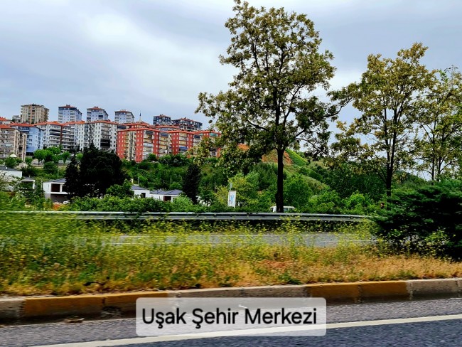 Uşak Karahallı Külköy'de Organize Sanayiye ve Köye Yakın, Köy ve Doğa Manzaralı 6.650 m2 Yatırımlık Kupon Bağ Bahçe. İlan Açıklamasını Okuyarak İletişime Geçiniz Lütfen.
