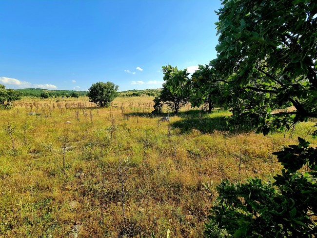Uşak Karahallı Külköy'de Organize Sanayiye ve Köye Yakın, Köy ve Doğa Manzaralı 6.650 m2 Yatırımlık Kupon Bağ Bahçe. İlan Açıklamasını Okuyarak İletişime Geçiniz Lütfen.