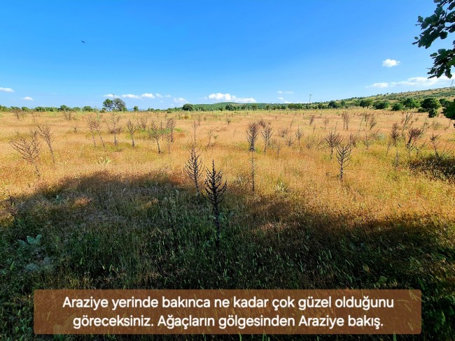 Uşak Karahallı Külköy'de Organize Sanayiye ve Köye Yakın, Köy ve Doğa Manzaralı 6.650 m2 Yatırımlık Kupon Bağ Bahçe. İlan Açıklamasını Okuyarak İletişime Geçiniz Lütfen.