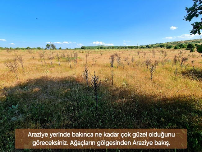 Uşak Karahallı Külköy'de Organize Sanayiye ve Köye Yakın, Köy ve Doğa Manzaralı 6.650 m2 Yatırımlık Kupon Bağ Bahçe. İlan Açıklamasını Okuyarak İletişime Geçiniz Lütfen.