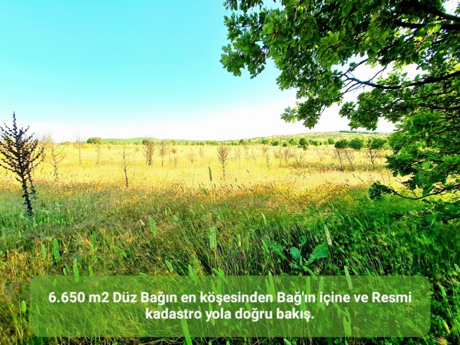 Uşak Karahallı Külköy'de Organize Sanayiye ve Köye Yakın, Köy ve Doğa Manzaralı 6.650 m2 Yatırımlık Kupon Bağ Bahçe. İlan Açıklamasını Okuyarak İletişime Geçiniz Lütfen.