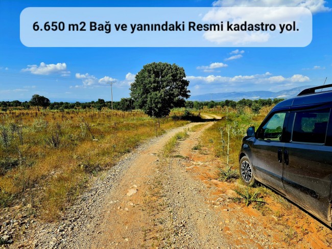 Uşak Karahallı Külköy'de Organize Sanayiye ve Köye Yakın, Köy ve Doğa Manzaralı 6.650 m2 Yatırımlık Kupon Bağ Bahçe. İlan Açıklamasını Okuyarak İletişime Geçiniz Lütfen.