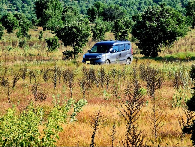 Uşak Karahallı Külköy'de Organize Sanayiye ve Köye Yakın, Köy ve Doğa Manzaralı 6.650 m2 Yatırımlık Kupon Bağ Bahçe. İlan Açıklamasını Okuyarak İletişime Geçiniz Lütfen.