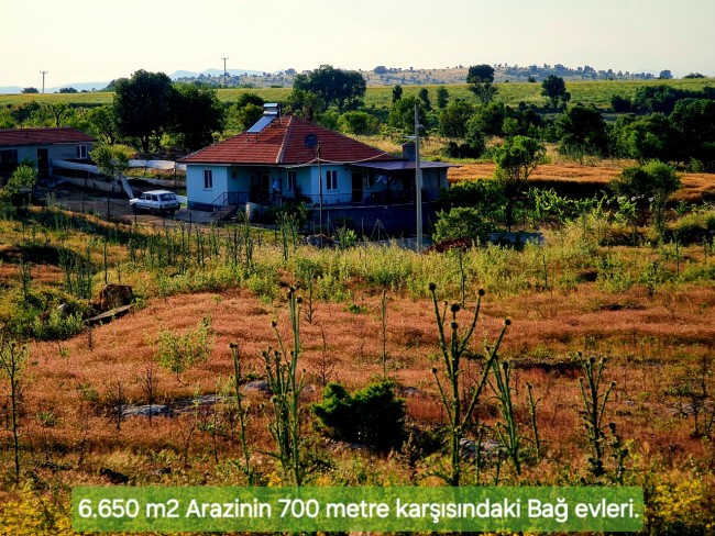 Uşak Karahallı Külköy'de Organize Sanayiye ve Köye Yakın, Köy ve Doğa Manzaralı 6.650 m2 Yatırımlık Kupon Bağ Bahçe. İlan Açıklamasını Okuyarak İletişime Geçiniz Lütfen.