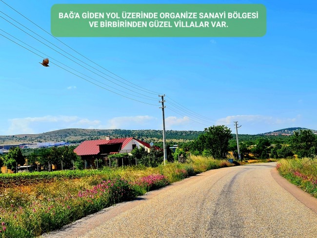 Uşak Karahallı Külköy'de Organize Sanayiye ve Köye Yakın, Köy ve Doğa Manzaralı 6.650 m2 Yatırımlık Kupon Bağ Bahçe. İlan Açıklamasını Okuyarak İletişime Geçiniz Lütfen.