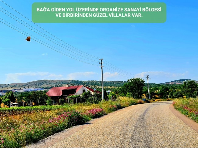 Uşak Karahallı Külköy'de Organize Sanayiye ve Köye Yakın, Köy ve Doğa Manzaralı 6.650 m2 Yatırımlık Kupon Bağ Bahçe. İlan Açıklamasını Okuyarak İletişime Geçiniz Lütfen.