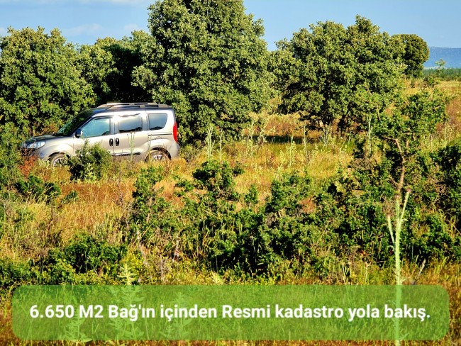 Uşak Karahallı Külköy'de Organize Sanayiye ve Köye Yakın, Köy ve Doğa Manzaralı 6.650 m2 Yatırımlık Kupon Bağ Bahçe. İlan Açıklamasını Okuyarak İletişime Geçiniz Lütfen.