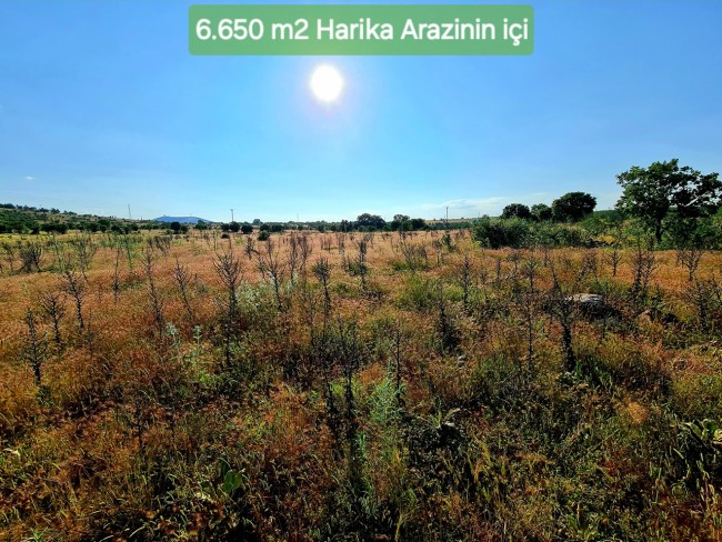 Uşak Karahallı Külköy'de Organize Sanayiye ve Köye Yakın, Köy ve Doğa Manzaralı 6.650 m2 Yatırımlık Kupon Bağ Bahçe. İlan Açıklamasını Okuyarak İletişime Geçiniz Lütfen.