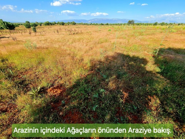 Uşak Karahallı Külköy'de Organize Sanayiye ve Köye Yakın, Köy ve Doğa Manzaralı 6.650 m2 Yatırımlık Kupon Bağ Bahçe. İlan Açıklamasını Okuyarak İletişime Geçiniz Lütfen.