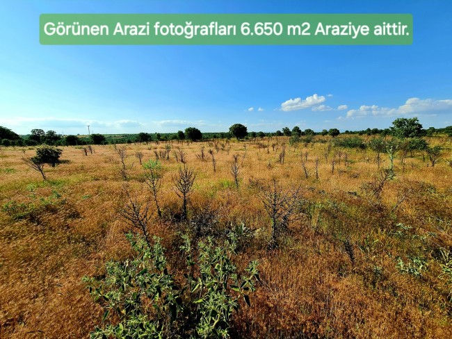 Uşak Karahallı Külköy'de Organize Sanayiye ve Köye Yakın, Köy ve Doğa Manzaralı 6.650 m2 Yatırımlık Kupon Bağ Bahçe. İlan Açıklamasını Okuyarak İletişime Geçiniz Lütfen.