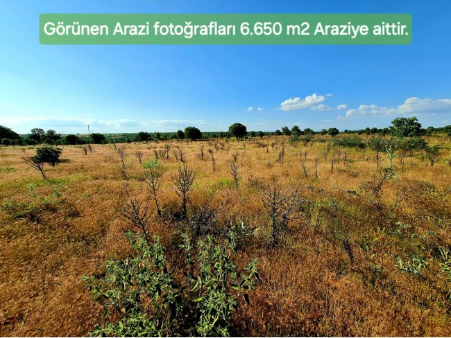 Uşak Karahallı Külköy'de Organize Sanayiye ve Köye Yakın, Köy ve Doğa Manzaralı 6.650 m2 Yatırımlık Kupon Bağ Bahçe. İlan Açıklamasını Okuyarak İletişime Geçiniz Lütfen.