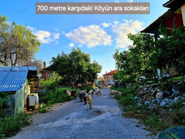 Uşak Karahallı Külköy'de Organize Sanayiye ve Köye Yakın, Köy ve Doğa Manzaralı 6.650 m2 Yatırımlık Kupon Bağ Bahçe. İlan Açıklamasını Okuyarak İletişime Geçiniz Lütfen.