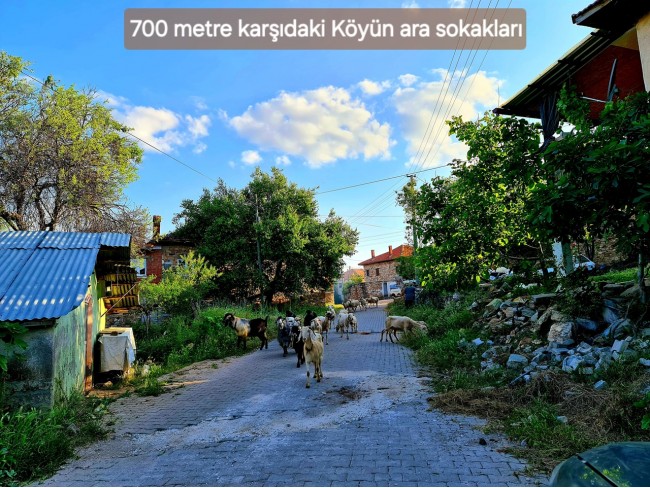 Uşak Karahallı Külköy'de Organize Sanayiye ve Köye Yakın, Köy ve Doğa Manzaralı 6.650 m2 Yatırımlık Kupon Bağ Bahçe. İlan Açıklamasını Okuyarak İletişime Geçiniz Lütfen.