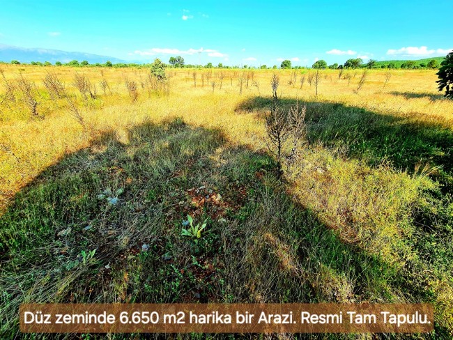 Uşak Karahallı Külköy'de Organize Sanayiye ve Köye Yakın, Köy ve Doğa Manzaralı 6.650 m2 Yatırımlık Kupon Bağ Bahçe. İlan Açıklamasını Okuyarak İletişime Geçiniz Lütfen.