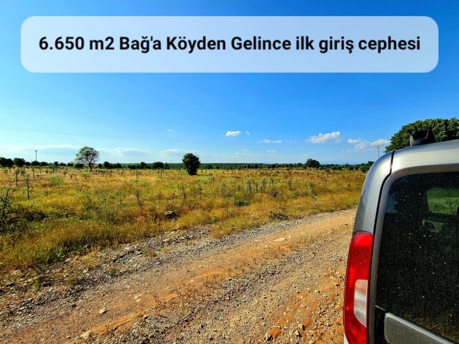 Uşak Karahallı Külköy'de Organize Sanayiye ve Köye Yakın, Köy ve Doğa Manzaralı 6.650 m2 Yatırımlık Kupon Bağ Bahçe. İlan Açıklamasını Okuyarak İletişime Geçiniz Lütfen.