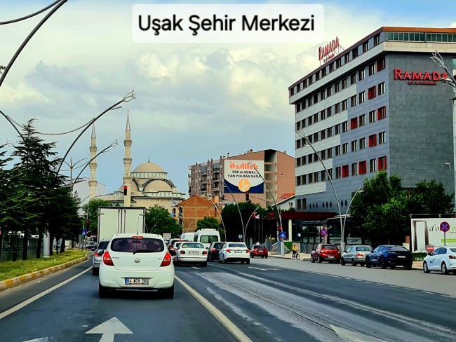 Uşak Karahallı Külköy'de Organize Sanayiye ve Köye Yakın, Köy ve Doğa Manzaralı 6.650 m2 Yatırımlık Kupon Bağ Bahçe. İlan Açıklamasını Okuyarak İletişime Geçiniz Lütfen.