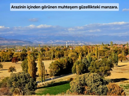 Uşak Banaz Merkeze Çok Yakın Ana Yol Üstünde 3.739 m2 Yatırımlık Arazi. Açıklamayı Okuyarak Arayınız