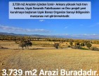 Uşak Banaz Merkeze Çok Yakın Ana Yol Üstünde 3.739 m2 Yatırımlık Arazi. Açıklamayı Okuyarak Arayınız