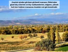 Uşak Banaz Merkeze Çok Yakın Ana Yol Üstünde 3.739 m2 Yatırımlık Arazi. Açıklamayı Okuyarak Arayınız