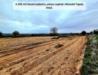 Uşak Karahallı Kavaklı'da 4.505 m2 Köy Girişi Arsa ve Bağ. Açıklamayı Okuyarak Arayınız