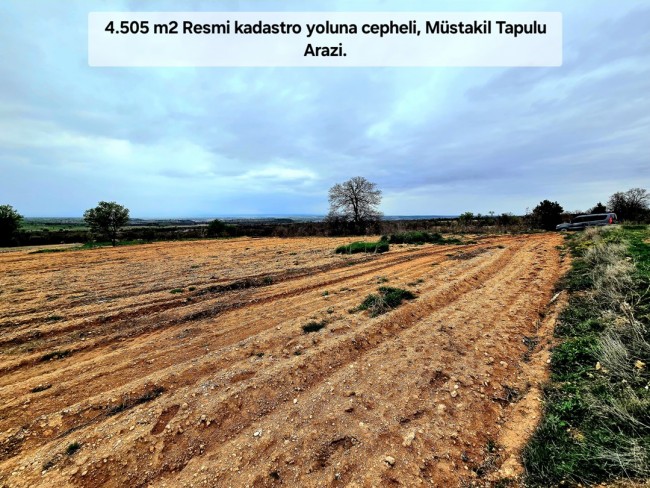 Uşak Karahallı Kavaklı'da 4.505 m2 Köy Girişi Arsa ve Bağ. Açıklamayı Okuyarak Arayınız