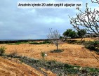 Uşak Karahallı Kavaklı'da 4.505 m2 Köy Girişi Arsa ve Bağ. Açıklamayı Okuyarak Arayınız