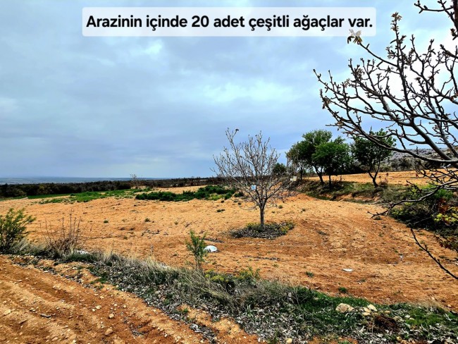 Uşak Karahallı Kavaklı'da 4.505 m2 Köy Girişi Arsa ve Bağ. Açıklamayı Okuyarak Arayınız