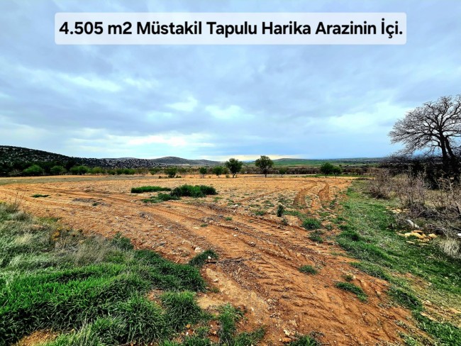 Uşak Karahallı Kavaklı'da 4.505 m2 Köy Girişi Arsa ve Bağ. Açıklamayı Okuyarak Arayınız