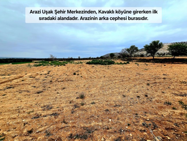 Uşak Karahallı Kavaklı'da 4.505 m2 Köy Girişi Arsa ve Bağ. Açıklamayı Okuyarak Arayınız