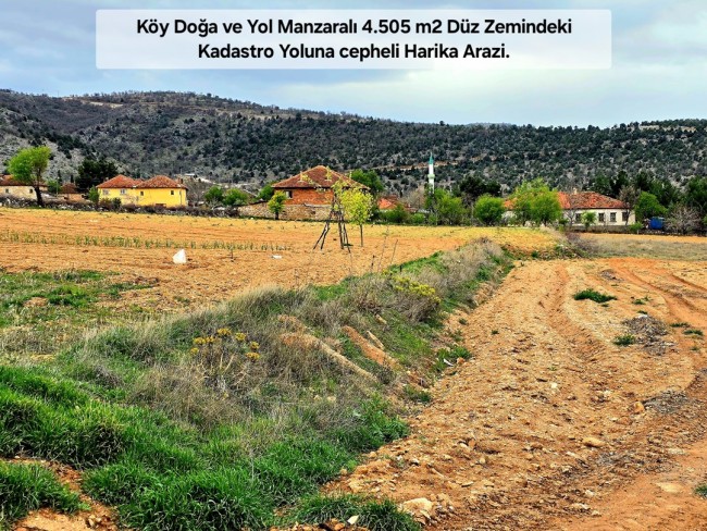 Uşak Karahallı Kavaklı'da 4.505 m2 Köy Girişi Arsa ve Bağ. Açıklamayı Okuyarak Arayınız