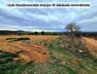 Uşak Karahallı Kavaklı'da 4.505 m2 Köy Girişi Arsa ve Bağ. Açıklamayı Okuyarak Arayınız