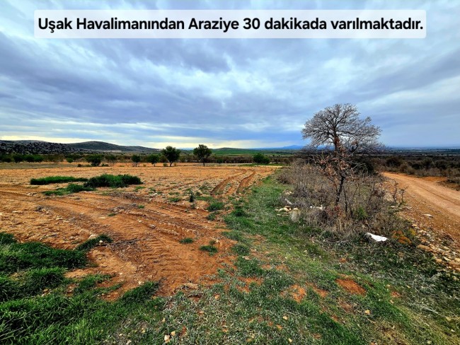 Uşak Karahallı Kavaklı'da 4.505 m2 Köy Girişi Arsa ve Bağ. Açıklamayı Okuyarak Arayınız