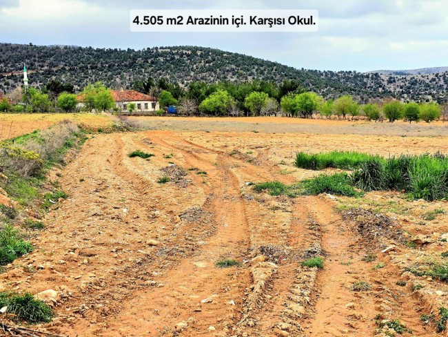 Uşak Karahallı Kavaklı'da 4.505 m2 Köy Girişi Arsa ve Bağ. Açıklamayı Okuyarak Arayınız