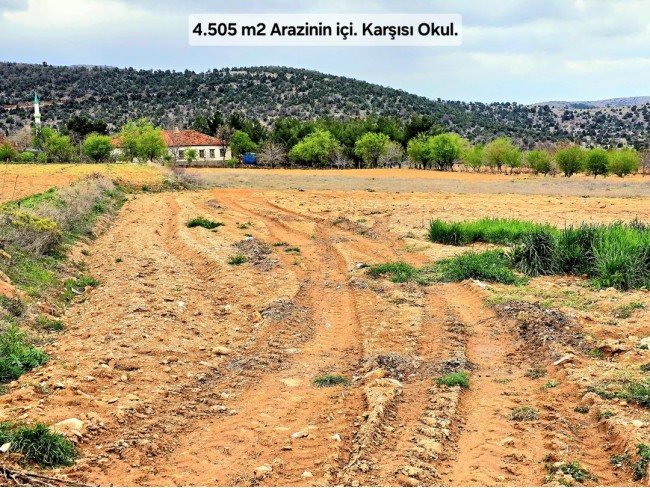 Uşak Karahallı Kavaklı'da 4.505 m2 Köy Girişi Arsa ve Bağ. Açıklamayı Okuyarak Arayınız