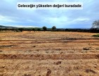 Uşak Karahallı Kavaklı'da 4.505 m2 Köy Girişi Arsa ve Bağ. Açıklamayı Okuyarak Arayınız