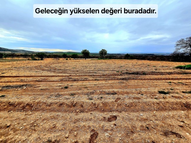 Uşak Karahallı Kavaklı'da 4.505 m2 Köy Girişi Arsa ve Bağ. Açıklamayı Okuyarak Arayınız