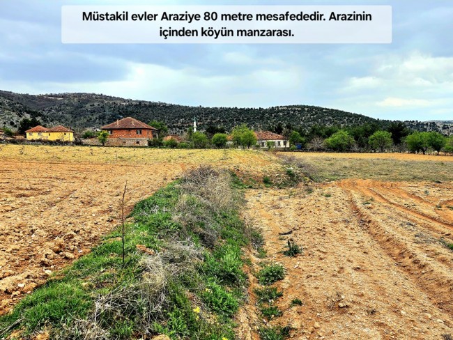 Uşak Karahallı Kavaklı'da 4.505 m2 Köy Girişi Arsa ve Bağ. Açıklamayı Okuyarak Arayınız